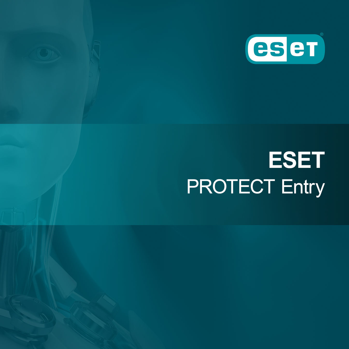 ESET PROTECT Entrada