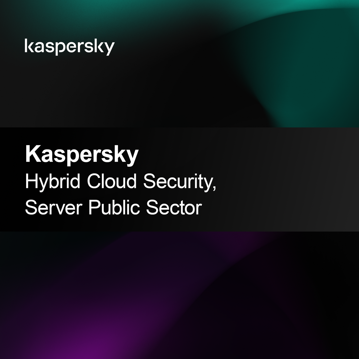 Kaspersky Hybrid Cloud Security, Server Public Sector