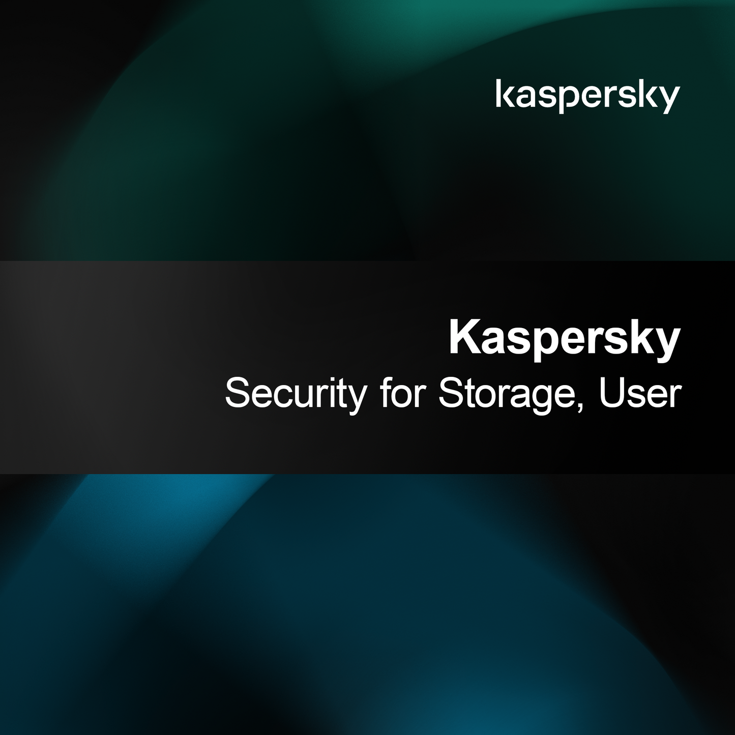 Kaspersky Security for Storage, User